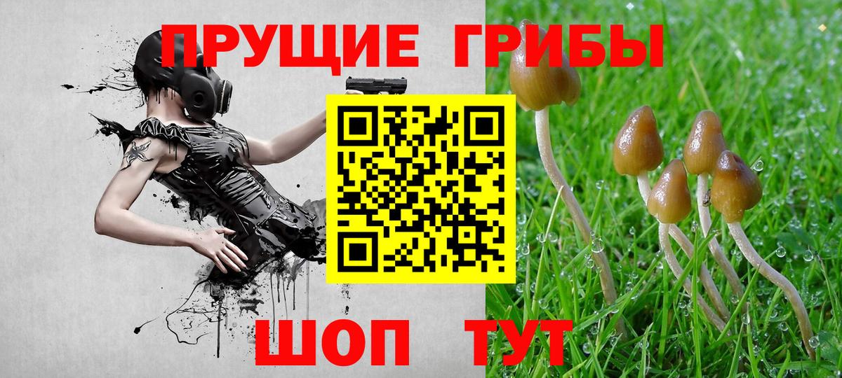 Галлюциногенные грибы ЛСД  Вход с VPN  наркошоп  Тельмана 